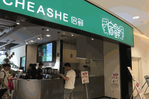 启鲜奶茶