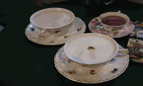 爱弥尔奶茶
