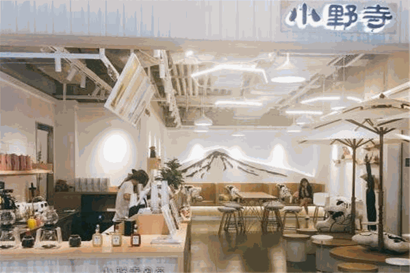 小野寺的茶