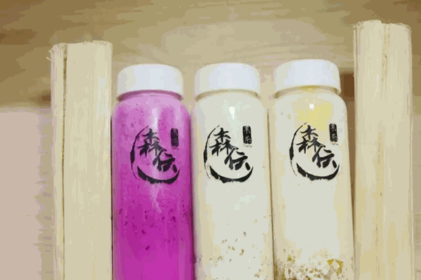 森伝果茶 森伝果茶