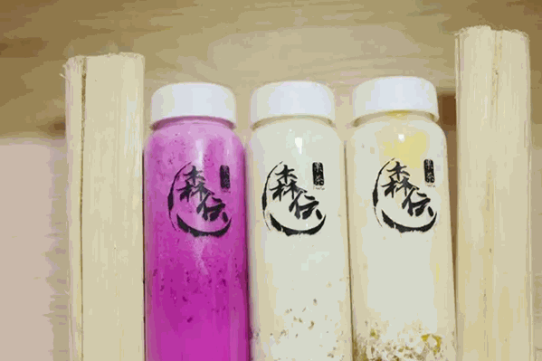 森伝果茶 森伝果茶