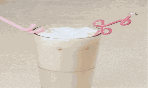 蜜巢奶茶