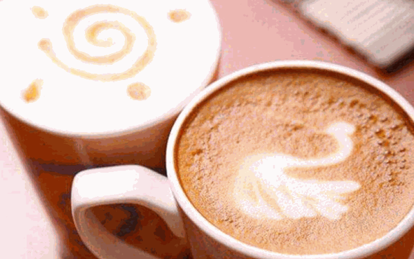 520奶茶
