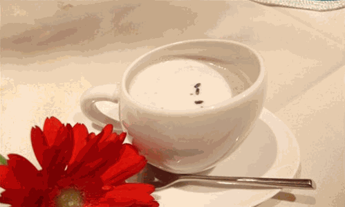 佐敦道奶茶