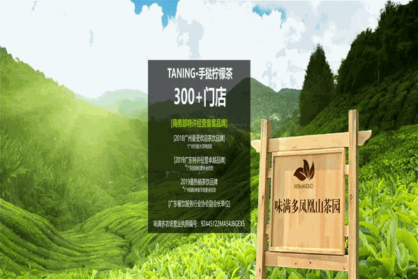 挞柠奶茶