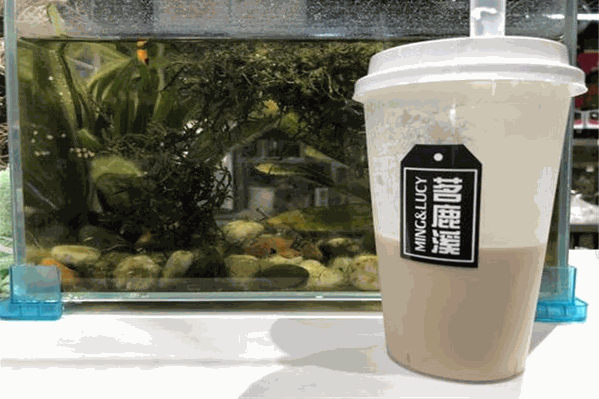 茗鹿溪奶茶