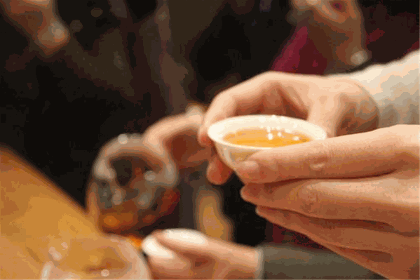 相遇识茶