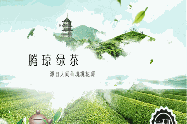 腾琼野茶王