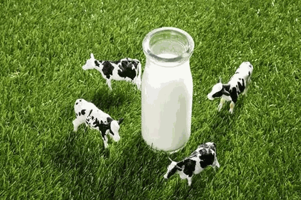 黄氏乳业饮品