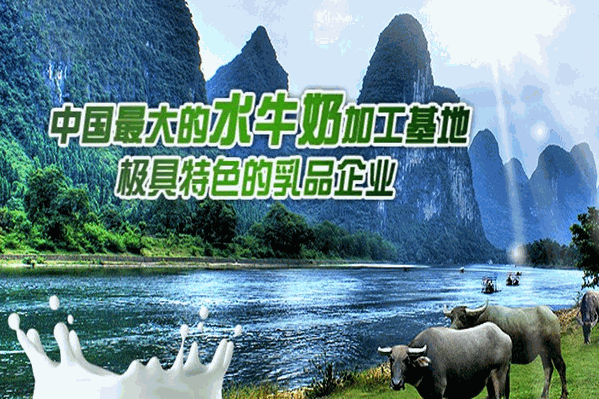 黄氏乳业饮品