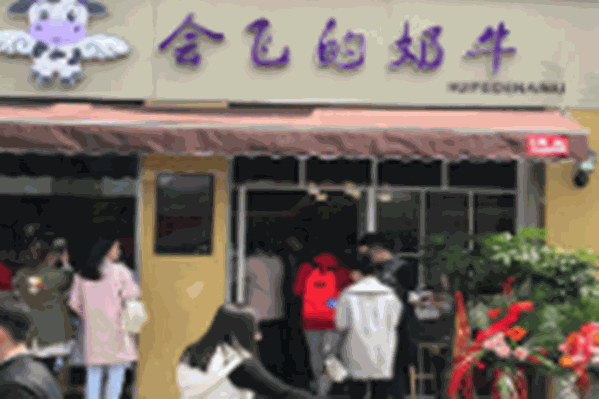 会飞的奶牛