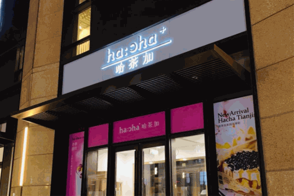 哈茶加 哈茶加