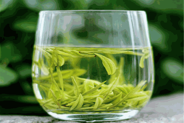 茶汐