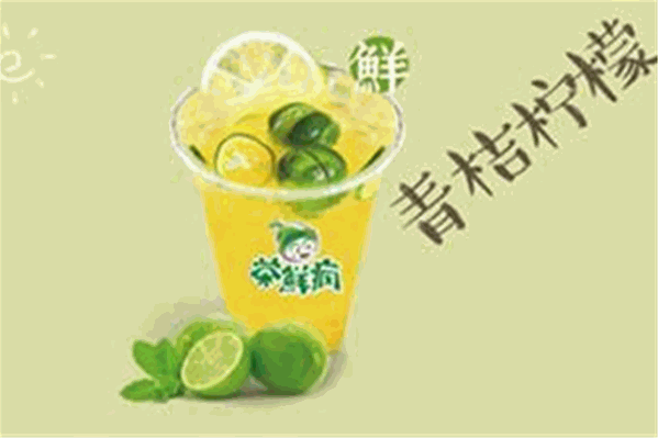 茶鲜疯饮品 茶鲜疯饮品