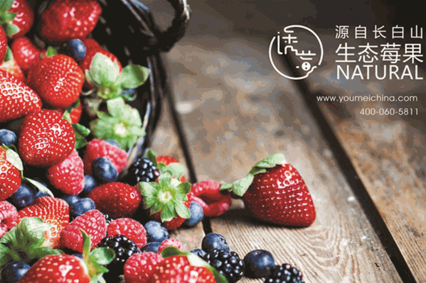 诱莓饮品