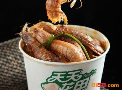 天天花甲 天天花甲