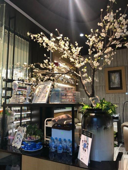 樱花 樱花