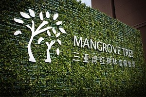 红树林酒店