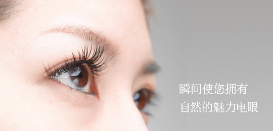 普洛莱茜尔