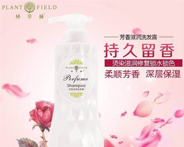 植草缘植物养发 植草缘植物养发