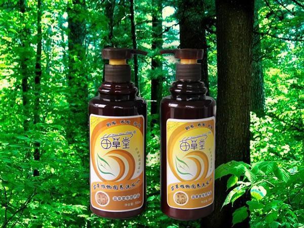 苗草堂 苗草堂