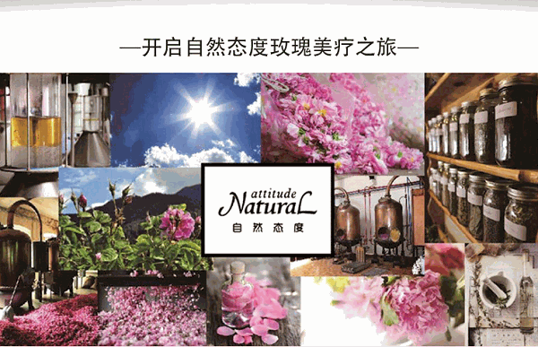 自然态度