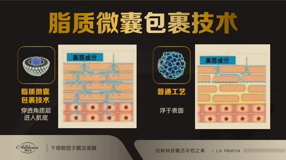 阿贝卡抗衰面膜