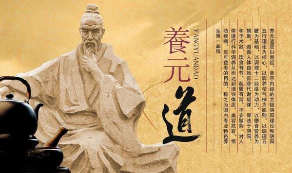 养元道 养元道