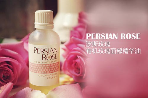 波斯玫瑰 波斯玫瑰
