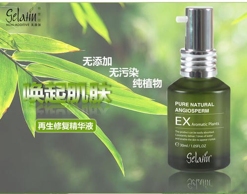 格蕾缇