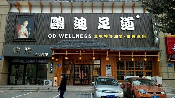 欧迪
