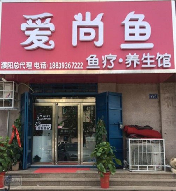 爱尚鱼