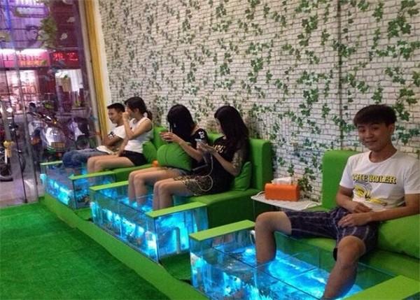 卡哇鱼 卡哇鱼