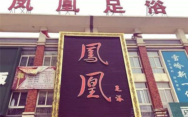 金凤凰
