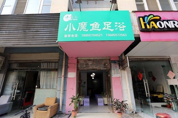 小魔鱼