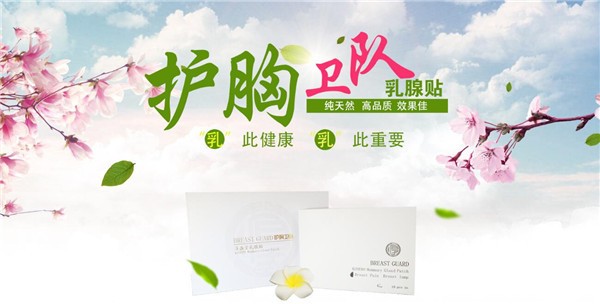 护胸卫队 护胸卫队