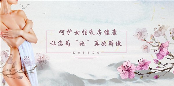 护胸卫队 护胸卫队