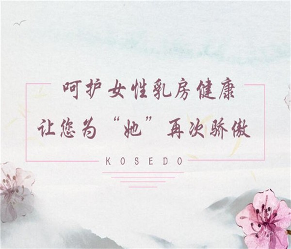 护胸卫队 护胸卫队