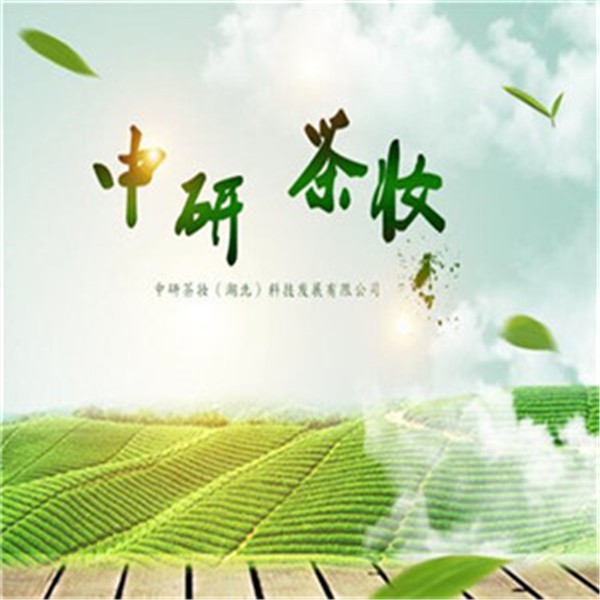 中研茶妆