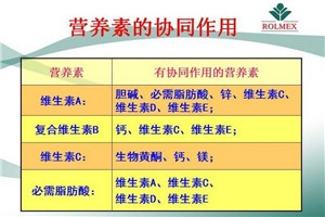 罗麦产品化妆品
