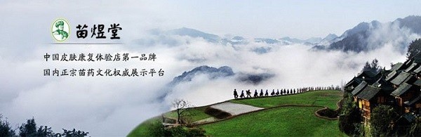 苗煜堂 苗煜堂