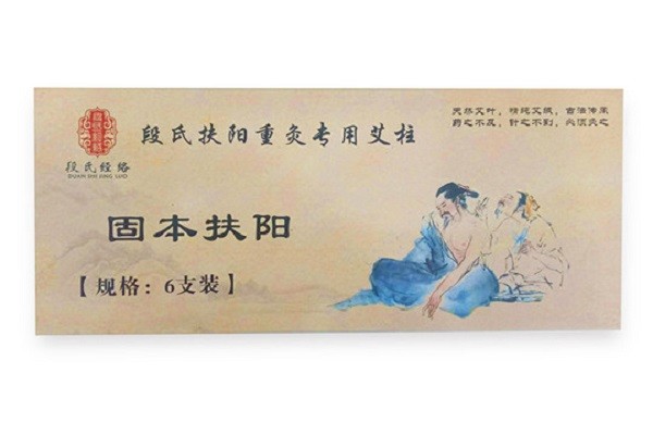 段氏经络 段氏经络