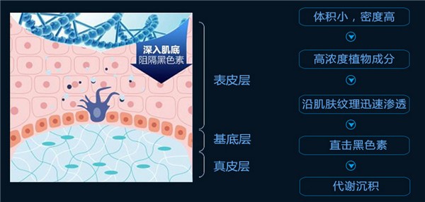 康嘉利化妆品